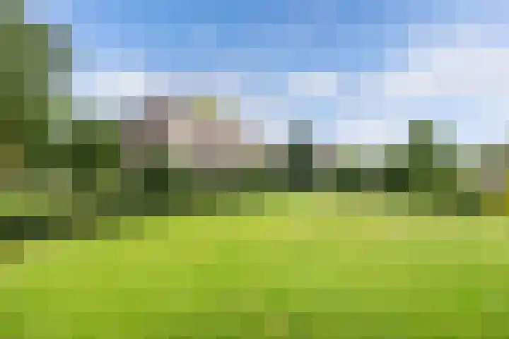 Paasloregel 92 Willemsoord thumbnail 30