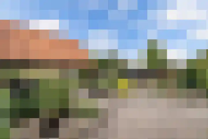 Paasloregel 92 Willemsoord thumbnail 31