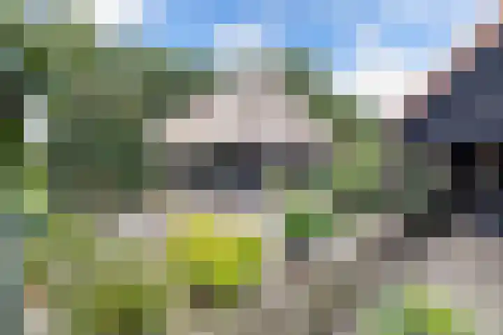 Paasloregel 92 Willemsoord thumbnail 32