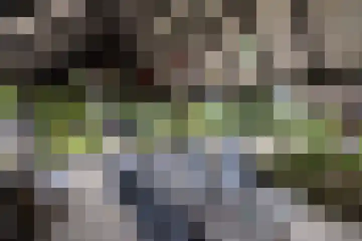 Paasloregel 92 Willemsoord thumbnail 33