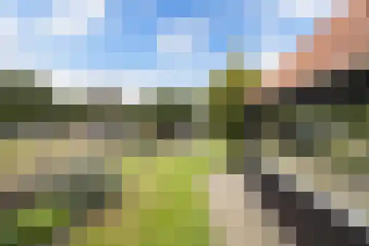 Paasloregel 92 Willemsoord thumbnail 34