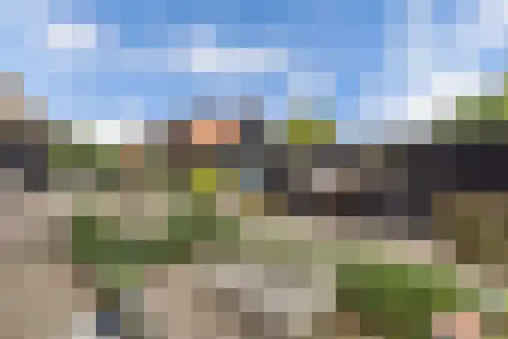 Paasloregel 92 Willemsoord thumbnail 35