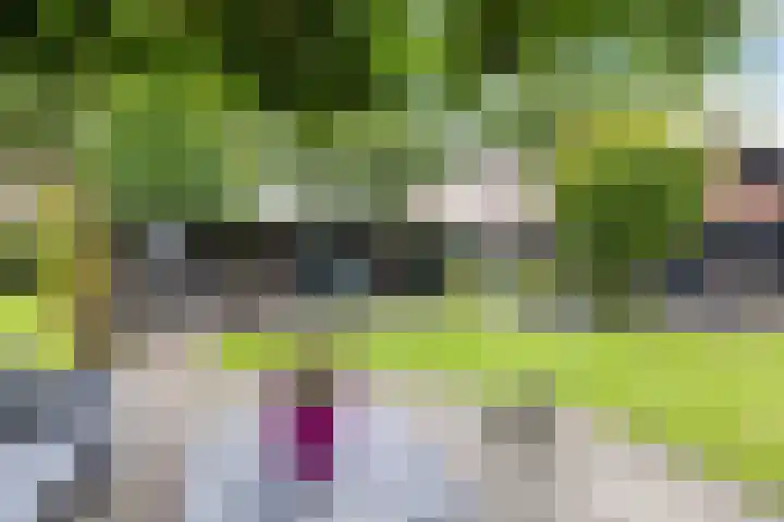 Paasloregel 92 Willemsoord thumbnail 36