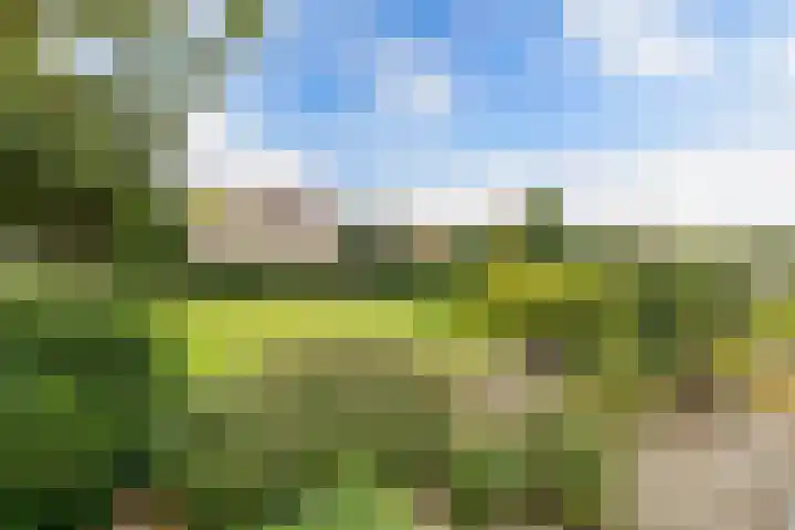 Paasloregel 92 Willemsoord thumbnail 37