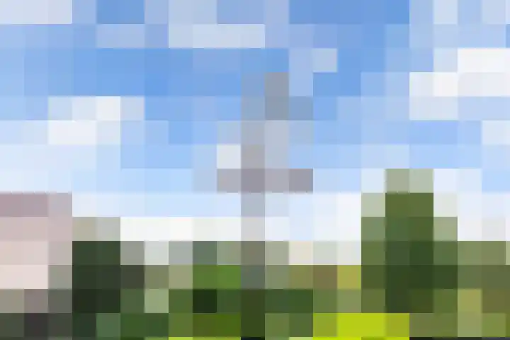 Paasloregel 92 Willemsoord thumbnail 38