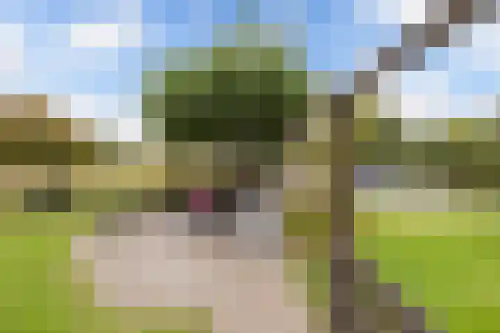 Paasloregel 92 Willemsoord thumbnail 39