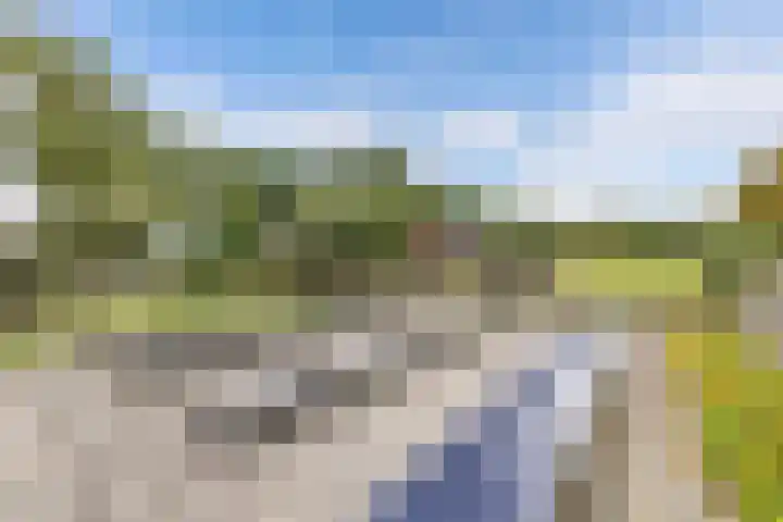 Paasloregel 92 Willemsoord thumbnail 40