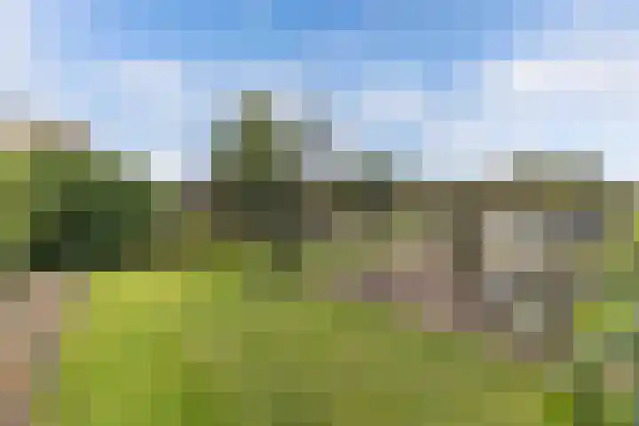 Paasloregel 92 Willemsoord thumbnail 42