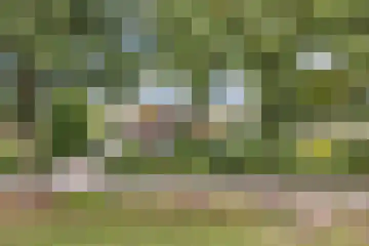 Paasloregel 92 Willemsoord thumbnail 43