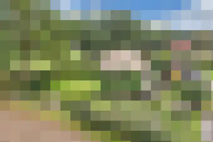 Paasloregel 92 Willemsoord thumbnail 44