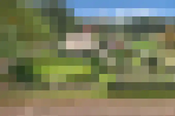 Paasloregel 92 Willemsoord thumbnail 45