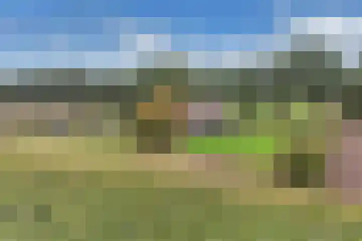 Paasloregel 92 Willemsoord thumbnail 46