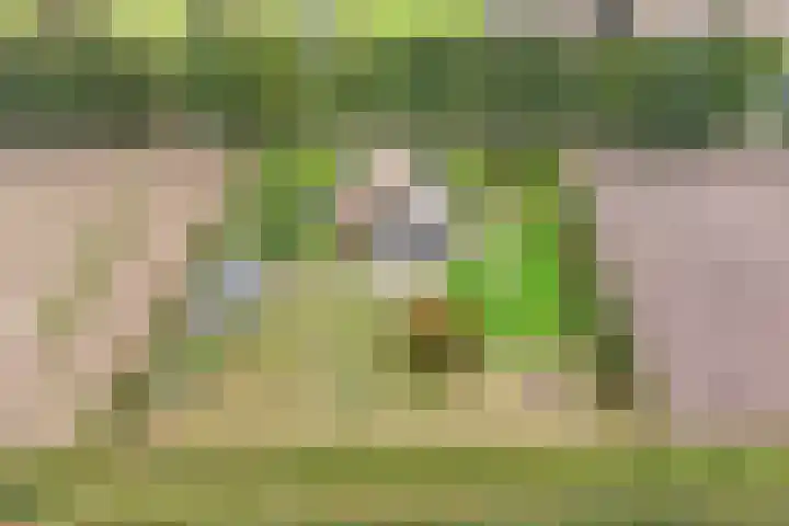 Paasloregel 92 Willemsoord thumbnail 47