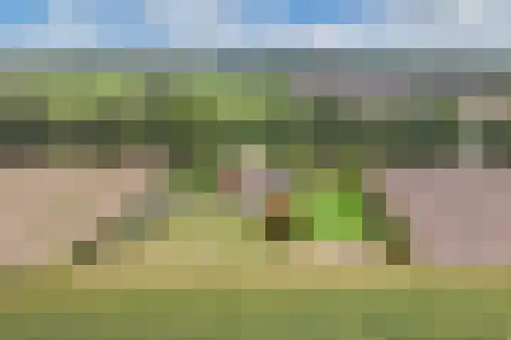 Paasloregel 92 Willemsoord thumbnail 48