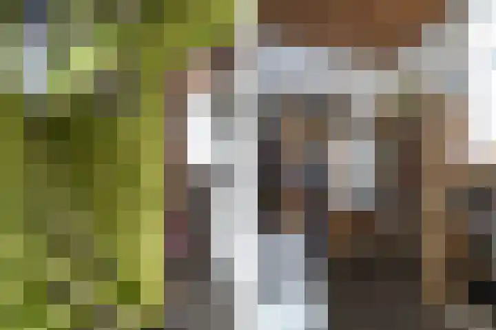 Paasweg 12 Varik thumbnail 19