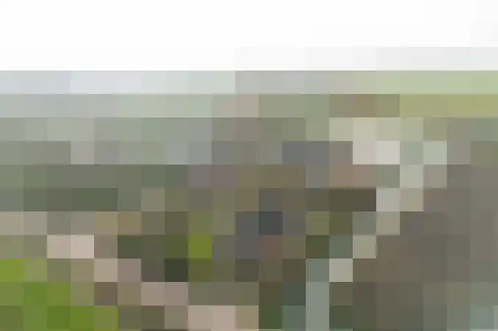 Paasweg 12 Varik thumbnail 31