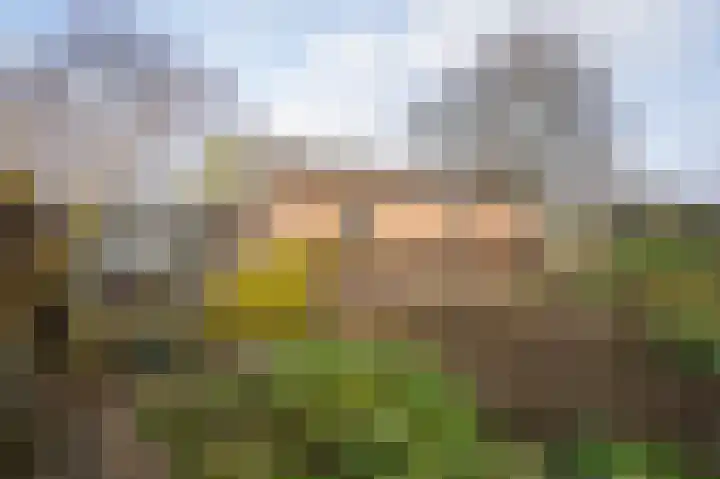 Paasweg 12 Varik thumbnail 38