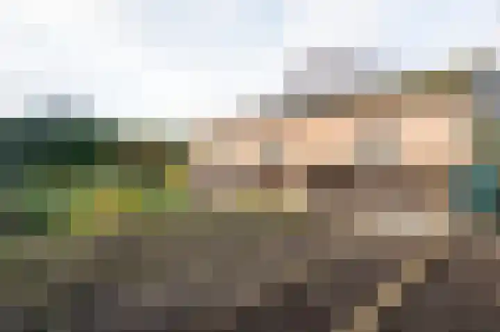 Paasweg 12 Varik thumbnail 39