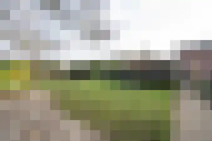 Paasweg 12 Varik thumbnail 40