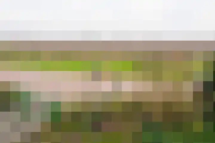 Paasweg 12 Varik thumbnail 44