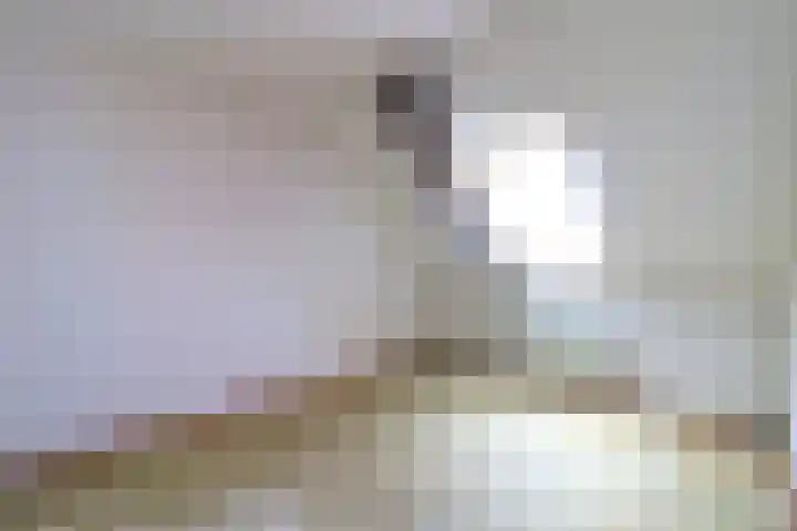 Paasweide 23 Steenwijk thumbnail 17