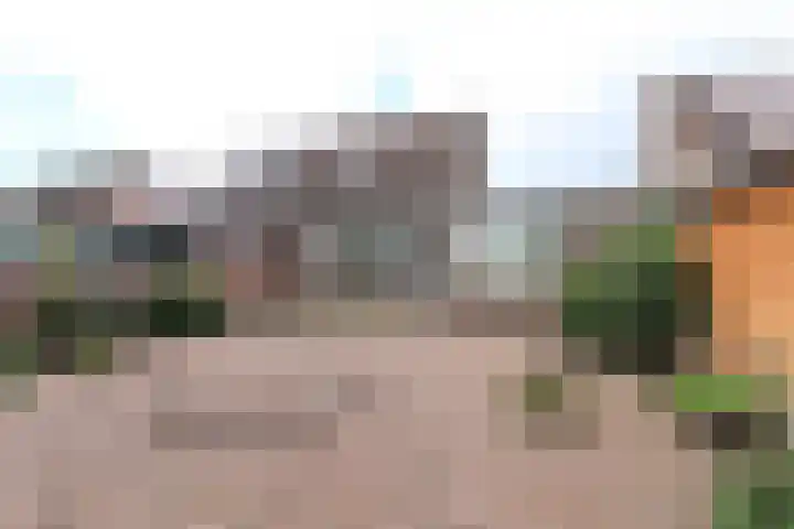 Paasweide 23 Steenwijk thumbnail 22