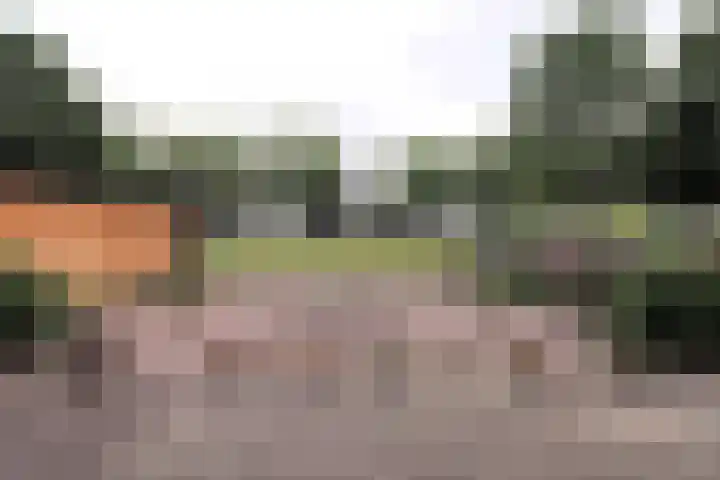 Paasweide 23 Steenwijk thumbnail 24