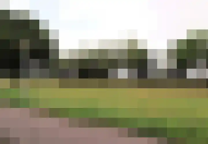 Paasweide 23 Steenwijk thumbnail 25