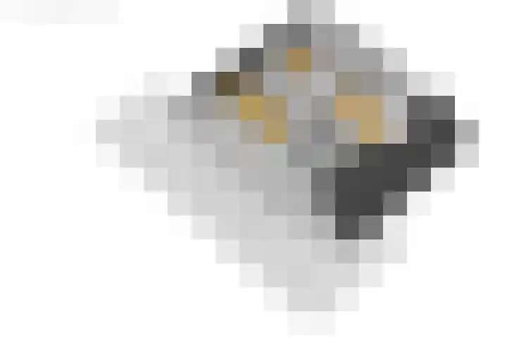 Paasweide 23 Steenwijk thumbnail 31