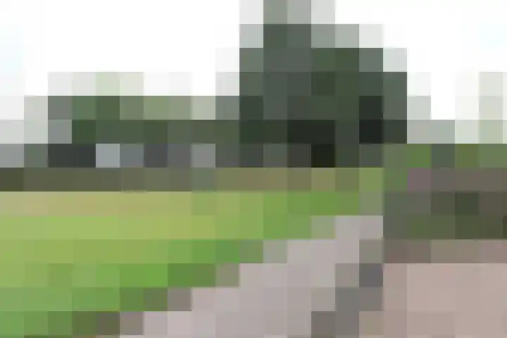 Paasweide 23 Steenwijk thumbnail 4