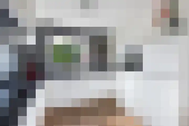 Paasweide 32 Steenwijk thumbnail 13