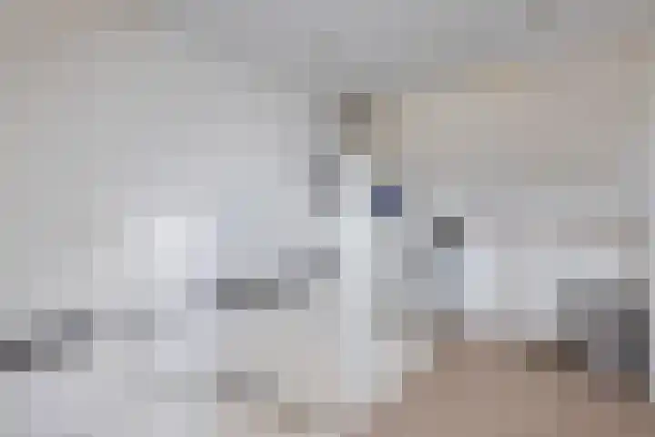 Paasweide 32 Steenwijk thumbnail 31