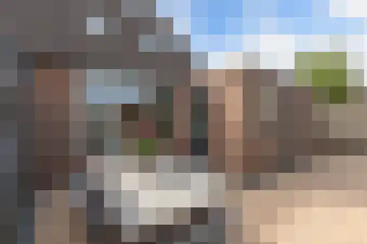 Paasweide 32 Steenwijk thumbnail 37
