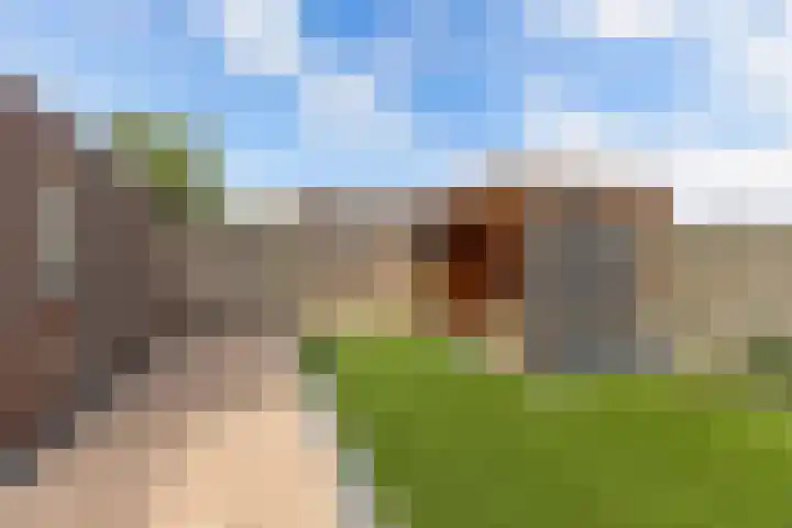 Paasweide 32 Steenwijk thumbnail 39