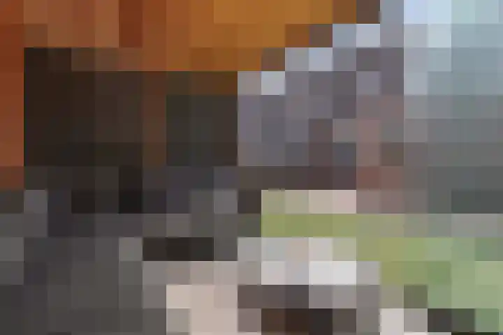 Paasweide 32 Steenwijk thumbnail 42