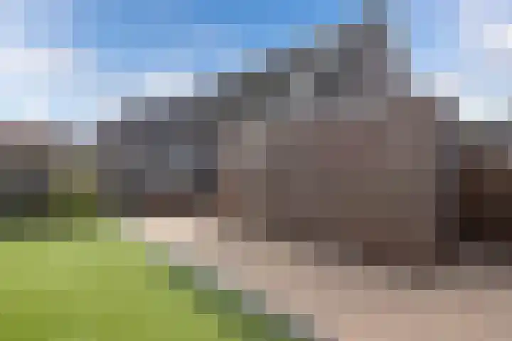 Paasweide 32 Steenwijk thumbnail 44