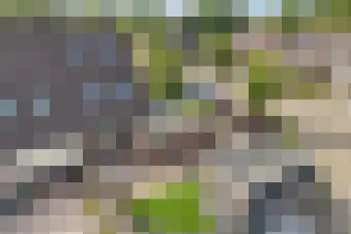 Paasweide 32 Steenwijk thumbnail 45