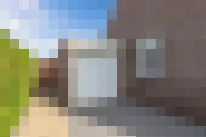 Paasweide 32 Steenwijk thumbnail 47