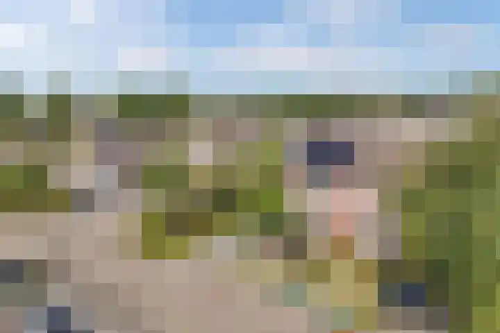 Paasweide 32 Steenwijk thumbnail 49
