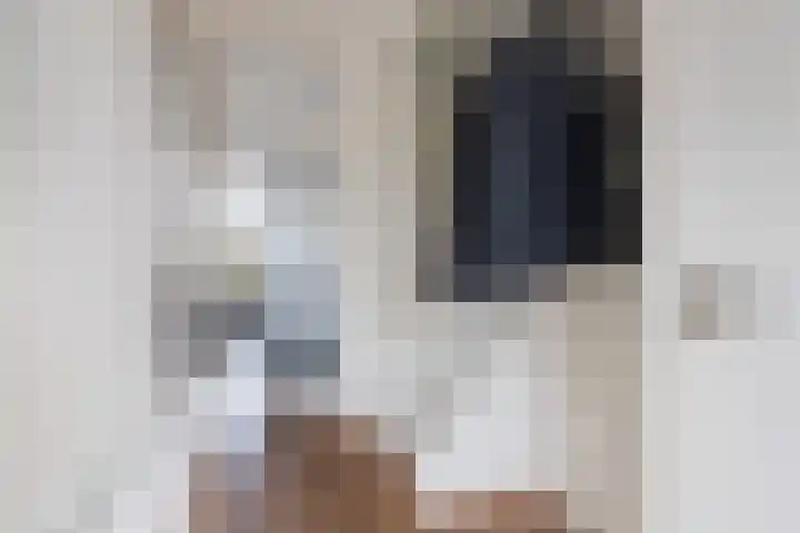 Paasweide 32 Steenwijk thumbnail 5