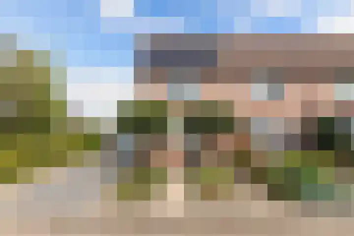 Paasweide 32 Steenwijk thumbnail 50