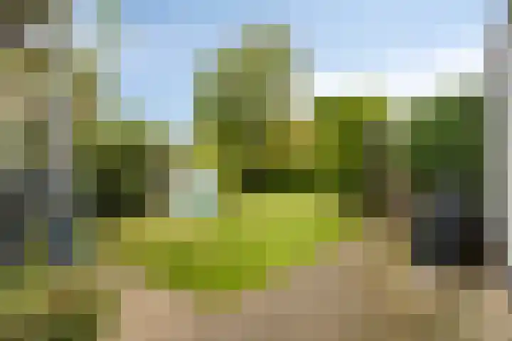 Paauwenburgweg 1 Vlissingen thumbnail 25