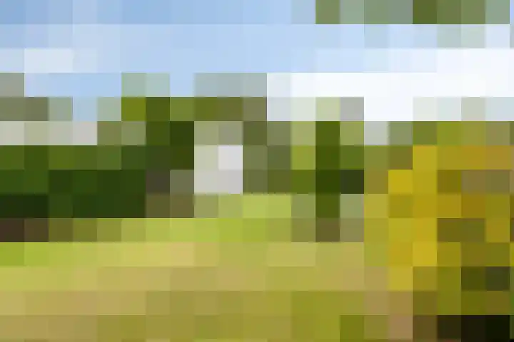 Paauwenburgweg 1 Vlissingen thumbnail 26