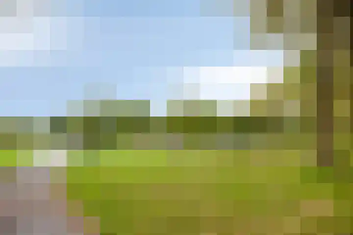 Paauwenburgweg 1 Vlissingen thumbnail 27