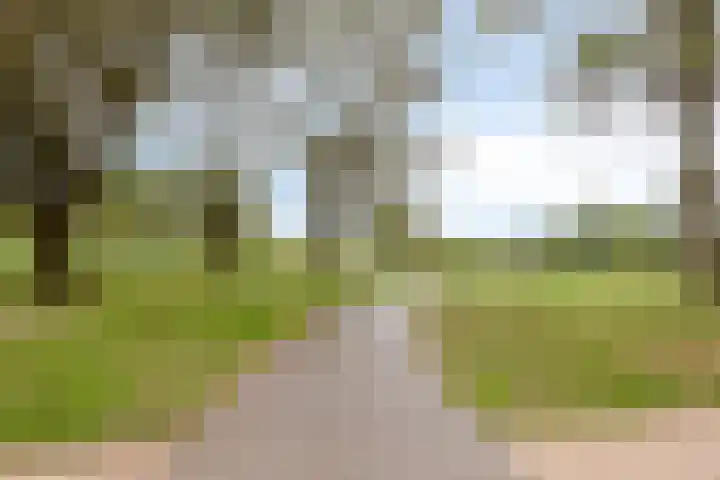 Paauwenburgweg 1 Vlissingen thumbnail 32