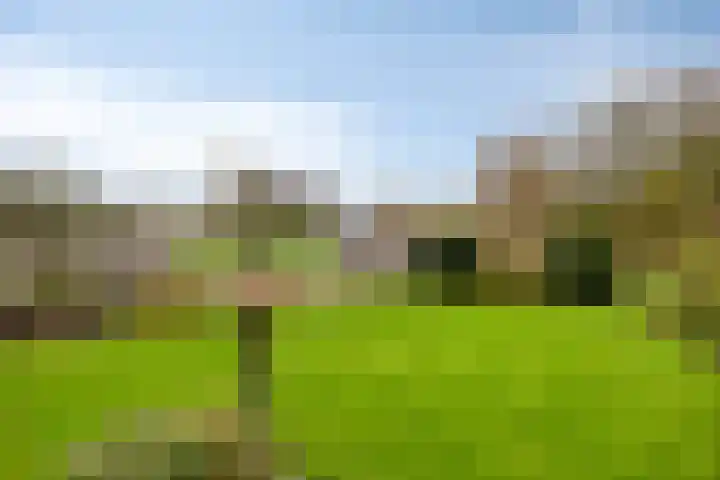 Paauwenburgweg 40 Vlissingen thumbnail 26