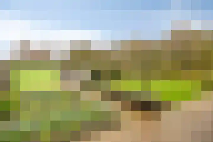 Paauwenburgweg 40 Vlissingen thumbnail 4