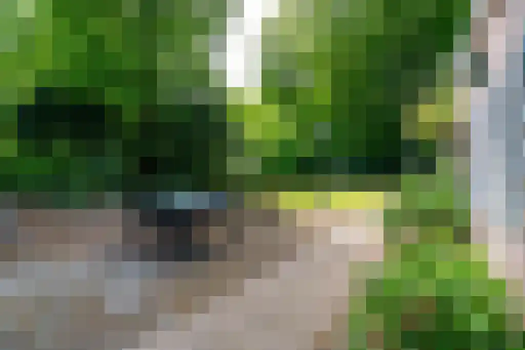 Paauwlaan 1 Wassenaar thumbnail 5