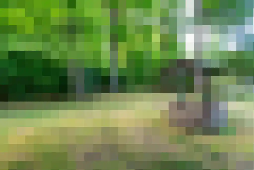 Paauwlaan 1 Wassenaar thumbnail 6