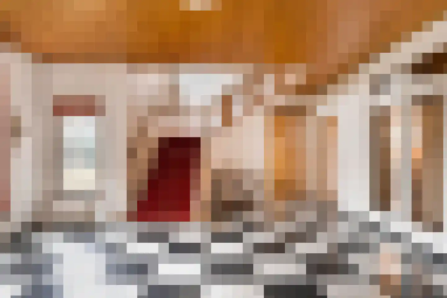 Paauwlaan 7 Wassenaar thumbnail 12